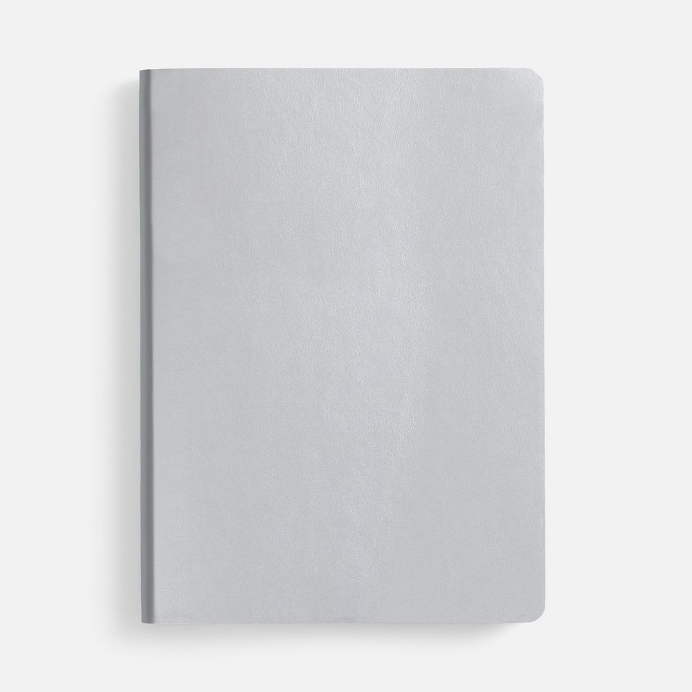 Ежедневник Nebraska Flex, недатированный, ver. 2, серебристый