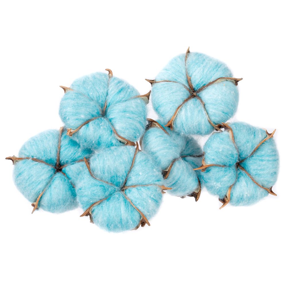 Цветок хлопка Cotton, голубой Цветок хлопка Cotton, голубой