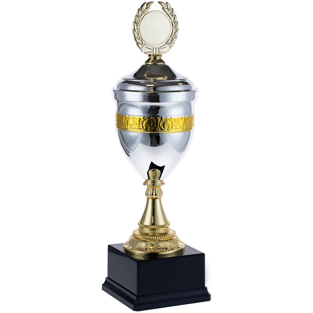 Кубок EnterPrize, серебристый Кубок EnterPrize, серебристый