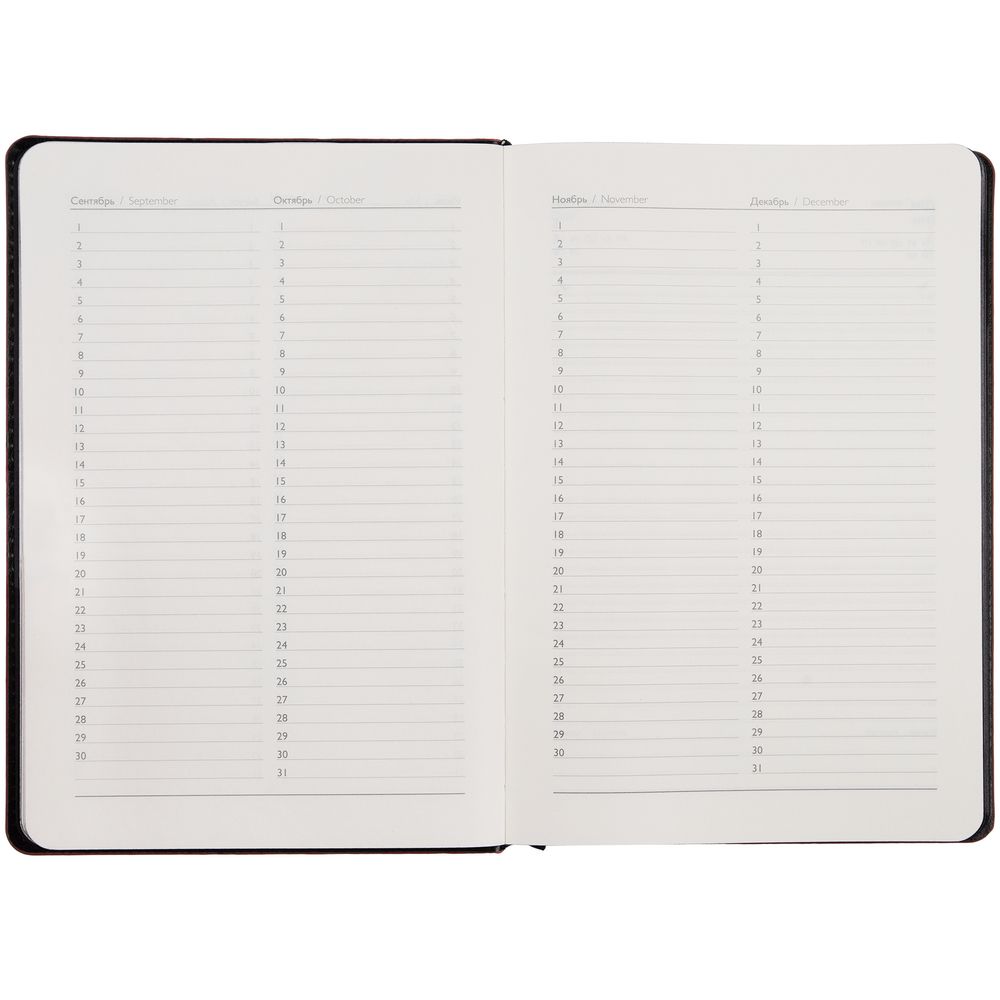 Ежедневник Alanis, недатированный, черный с синим