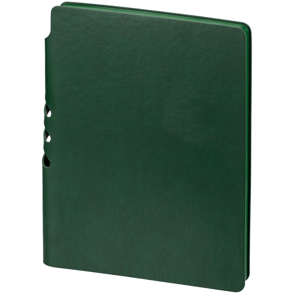 Ежедневник Flexpen Color, датированный, зеленый