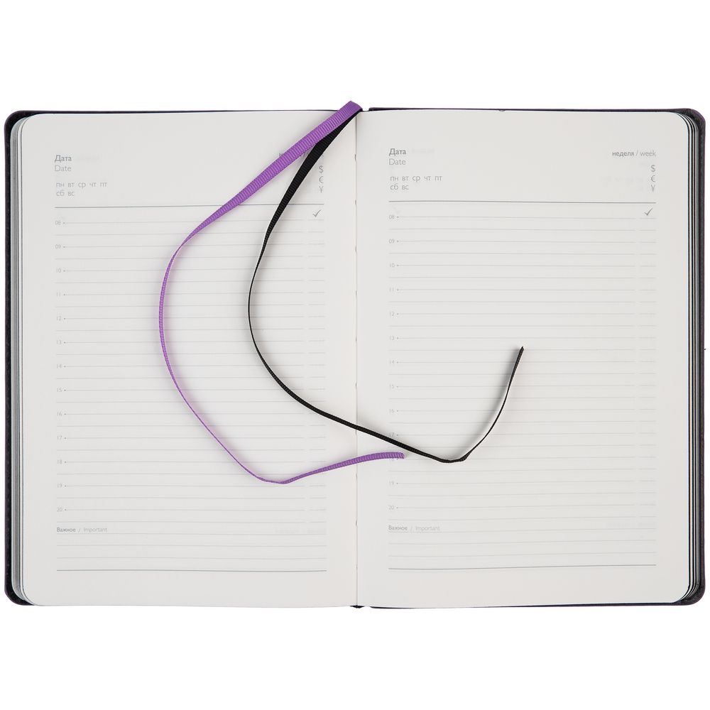 Ежедневник Alanis, недатированный, черный с фиолетовым