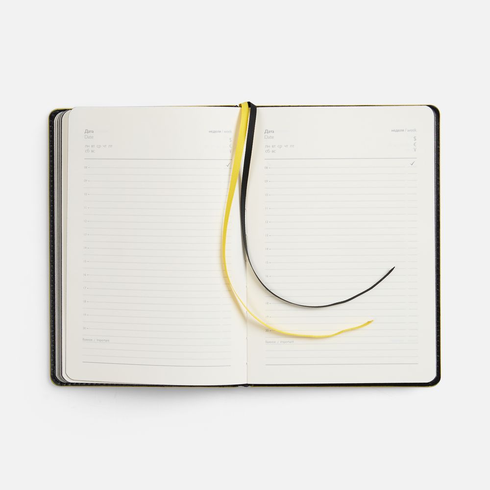 Ежедневник Alanis, недатированный, черный с желтым