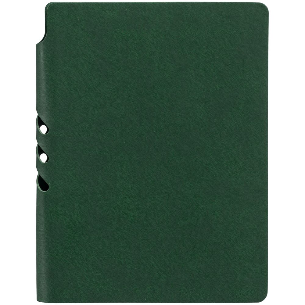 Ежедневник Flexpen Color, датированный, зеленый