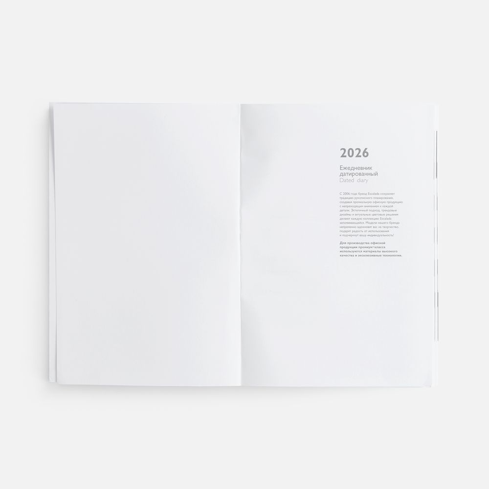 Ежедневник Baza, датированный, серый