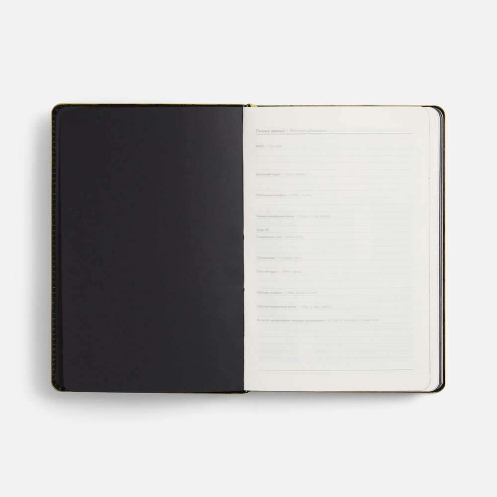 Ежедневник Alanis, недатированный, черный с желтым
