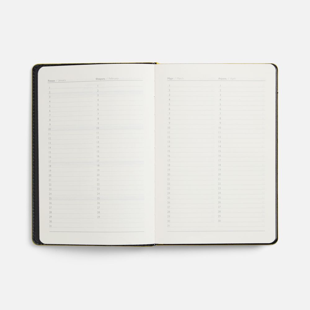 Ежедневник Alanis, недатированный, черный с желтым