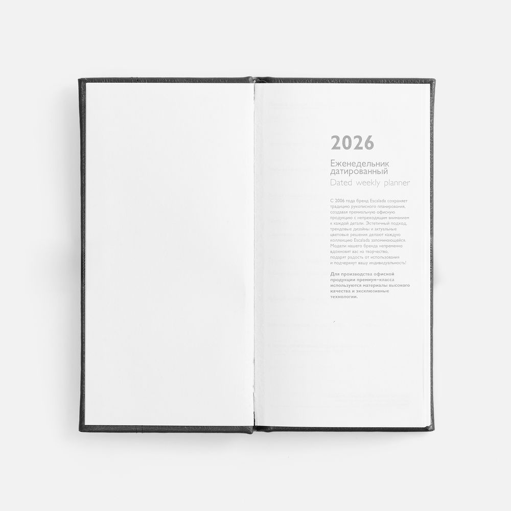 Еженедельник Baza, датированный, черный