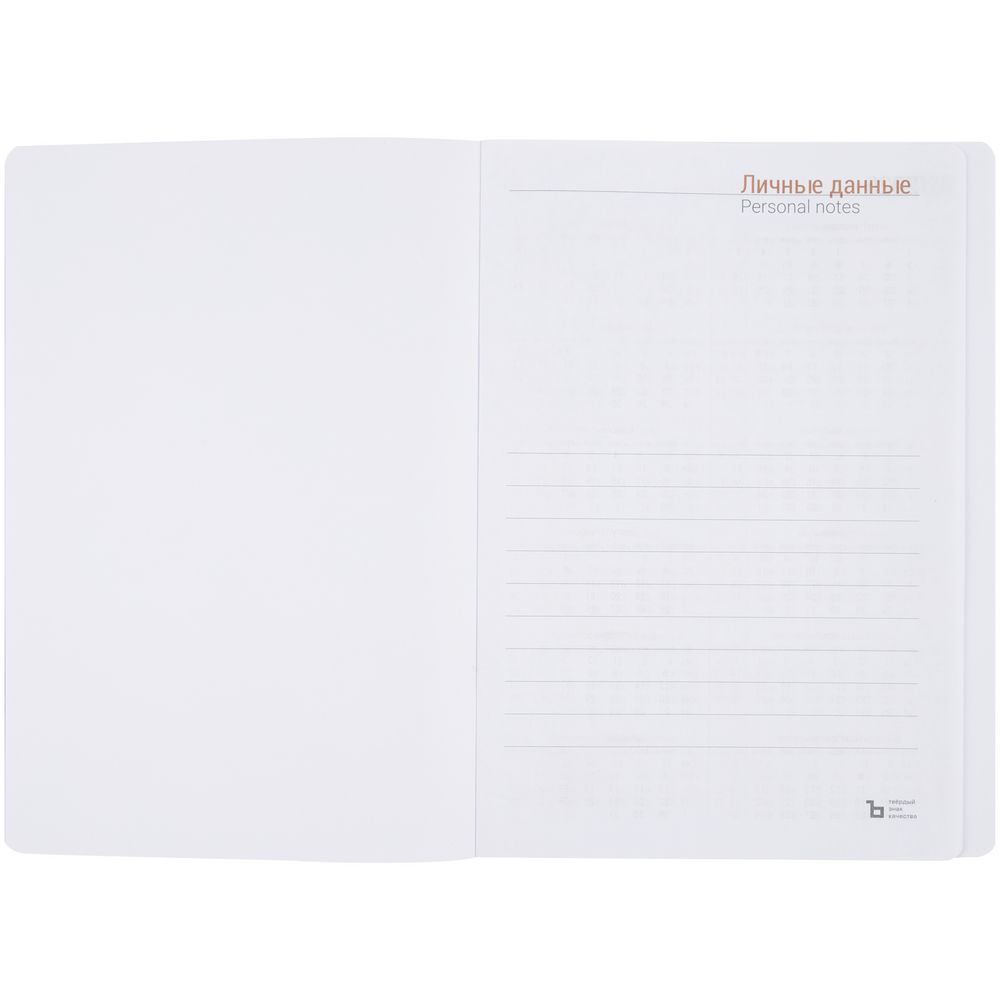 Ежедневник Basis, датированный, красный