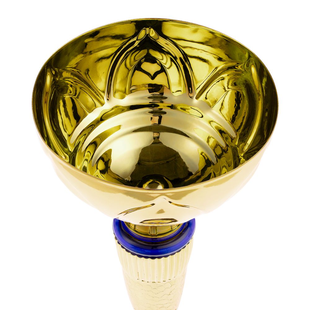 Кубок Awardee, средний, синий Кубок Awardee, средний, синий
