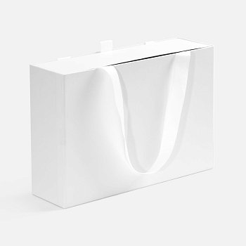 Коробка Regalis, белая