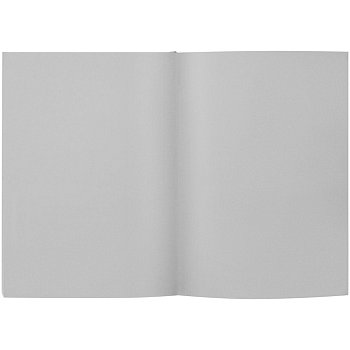 Ежедневник Flat, недатированный, серый