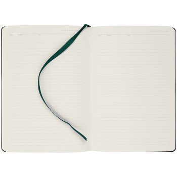 Ежедневник Romano, недатированный, зеленый