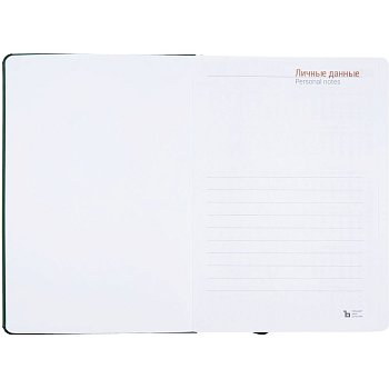 Ежедневник Basis, датированный, зеленый