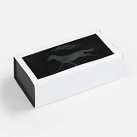 Коробка «Динамика успеха»