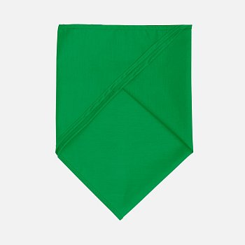 Шейный платок Bandana, ярко-зеленый