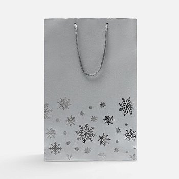 Пакет Wintry, серебристый