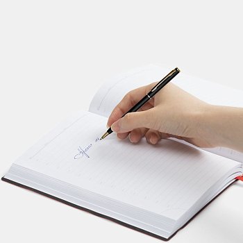 Ручка шариковая Hotel Gold, ver.2, матовая черная