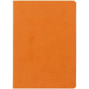 Ежедневник Basis, датированный, оранжевый