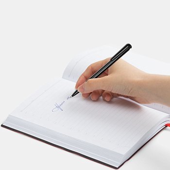 Ручка шариковая Penpal, черная