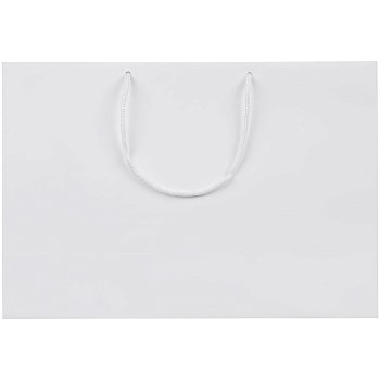 Пакет бумажный Ample Plus M, белый