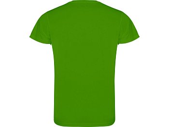 Футболка Camimera мужская, папаратниковый