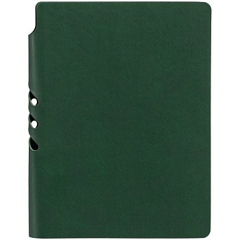 Ежедневник Flexpen Color, датированный, зеленый