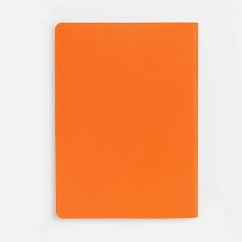 Ежедневник Flex Shall, датированный, оранжевый