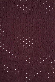 Рубашка поло мужская Brandy Men, белая с темно-синим